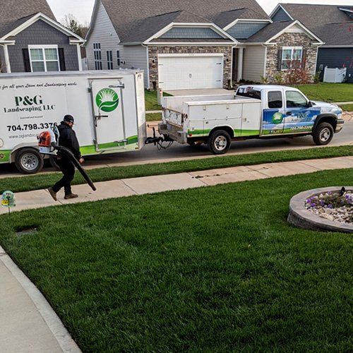 Lawn Care Clean Up