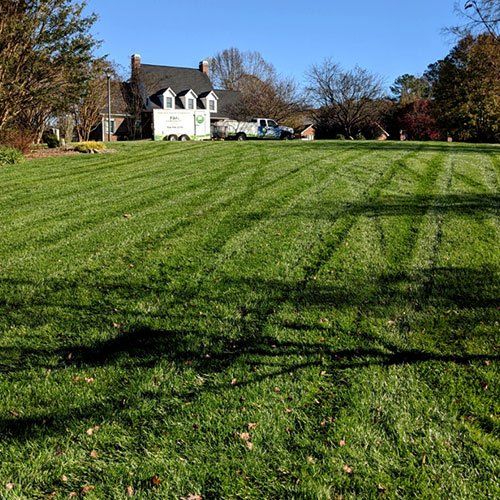 Large Lawn Care