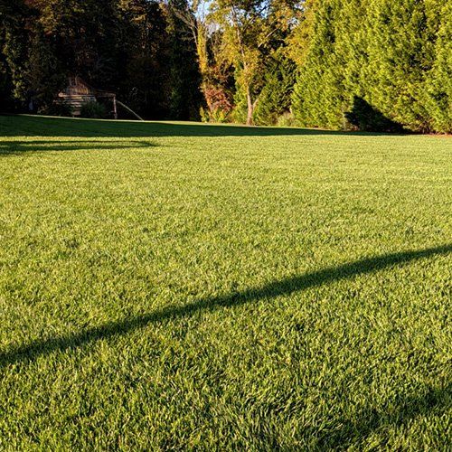 lawn care charlotte nc