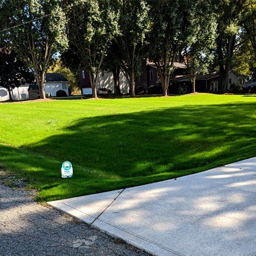 Front Yard Aeration Service