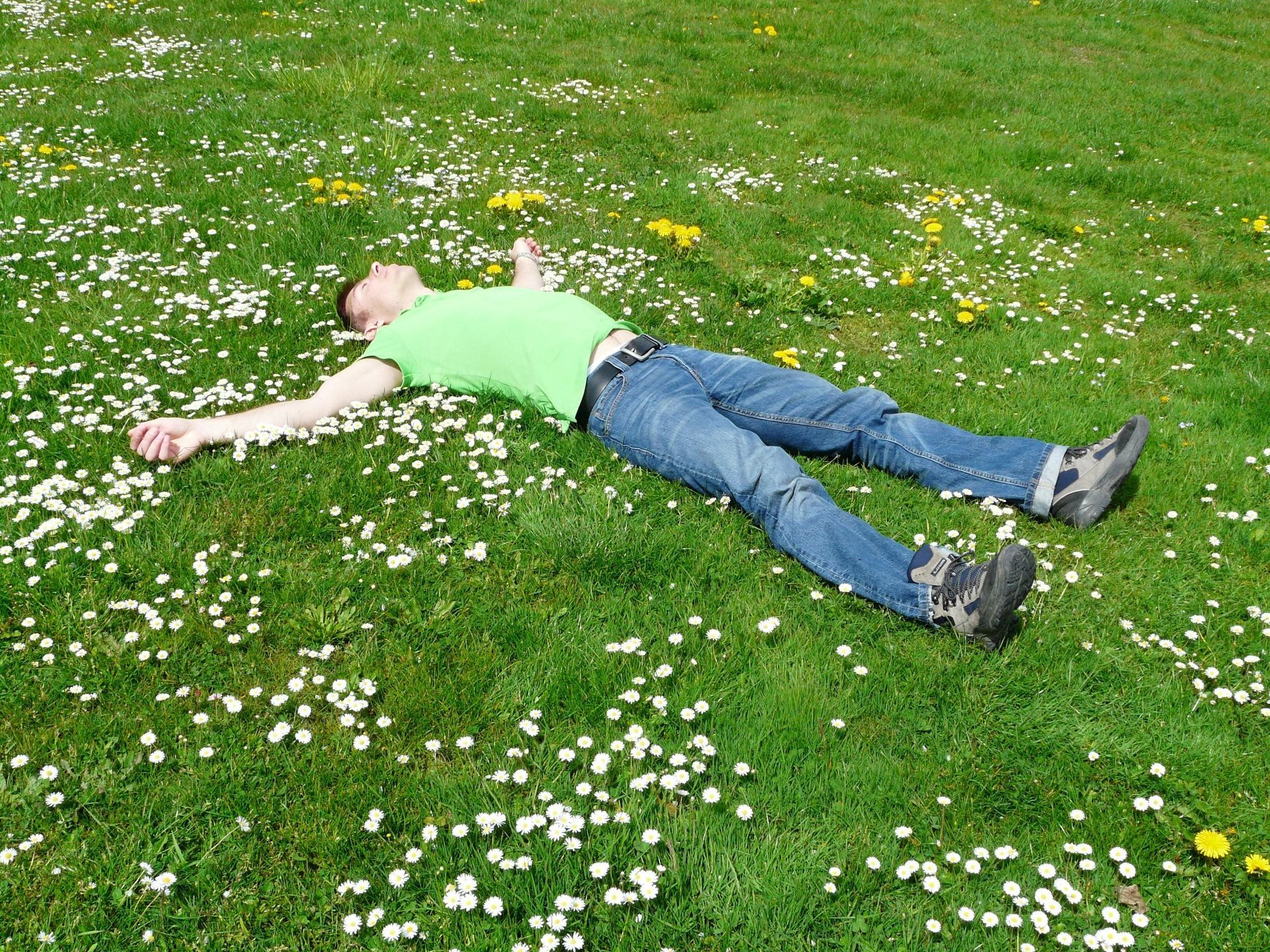 summer lawn care