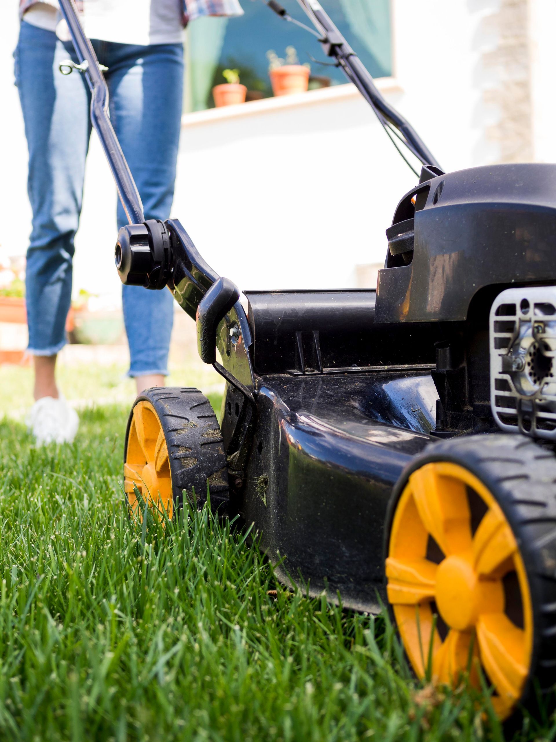 lawn services 