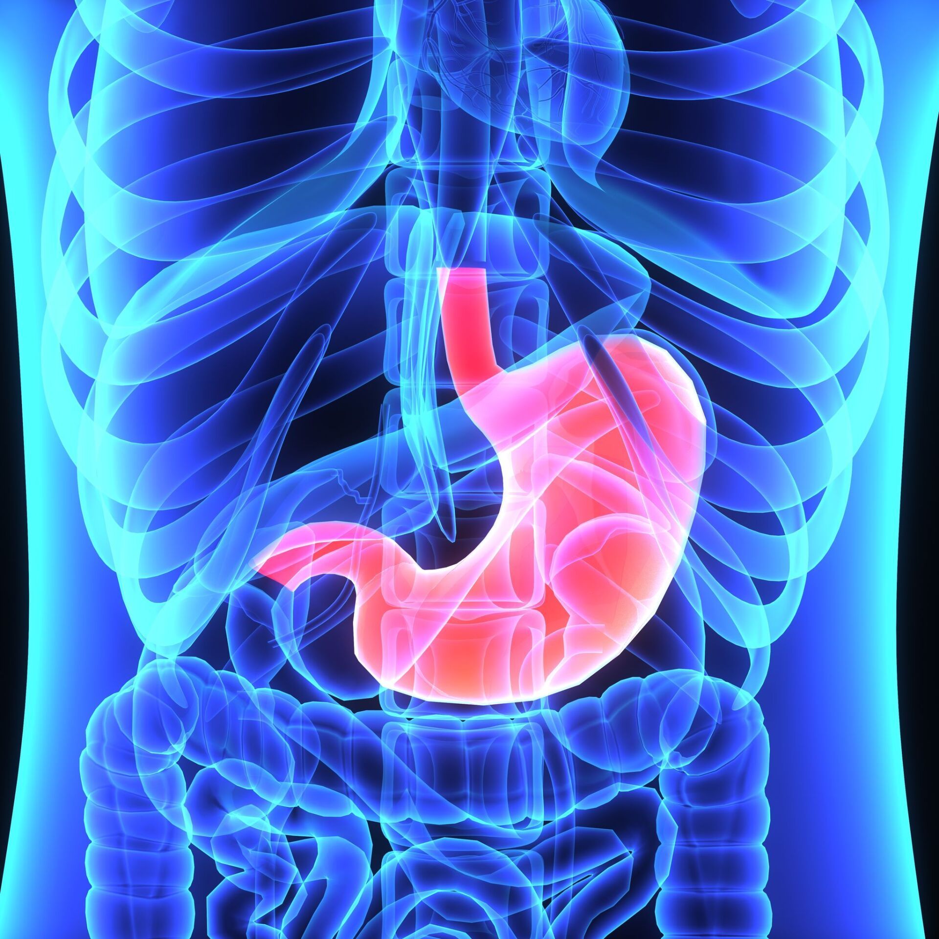 Endoscopy Procedure Singapore - Colorectal Clinic Associates
