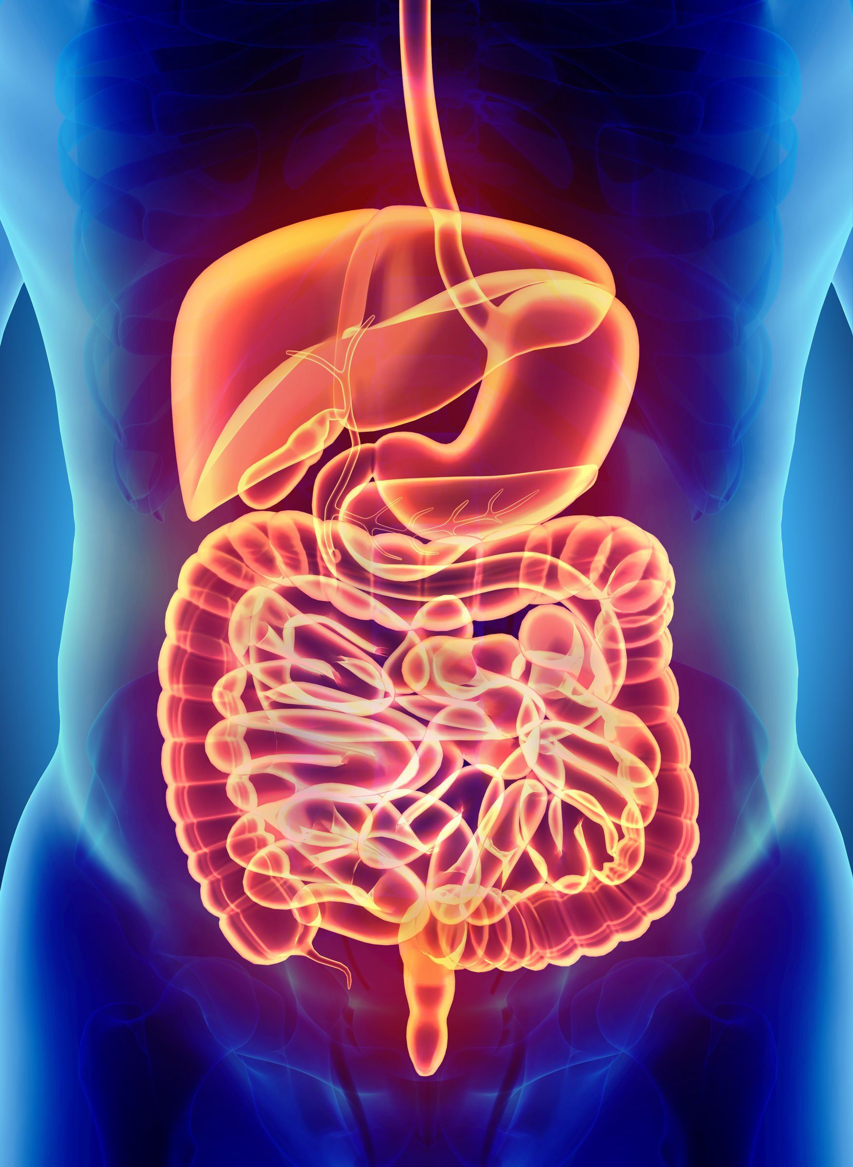 Constipation / Anorectal Physiology Testing - Colorectal Clinic Associates