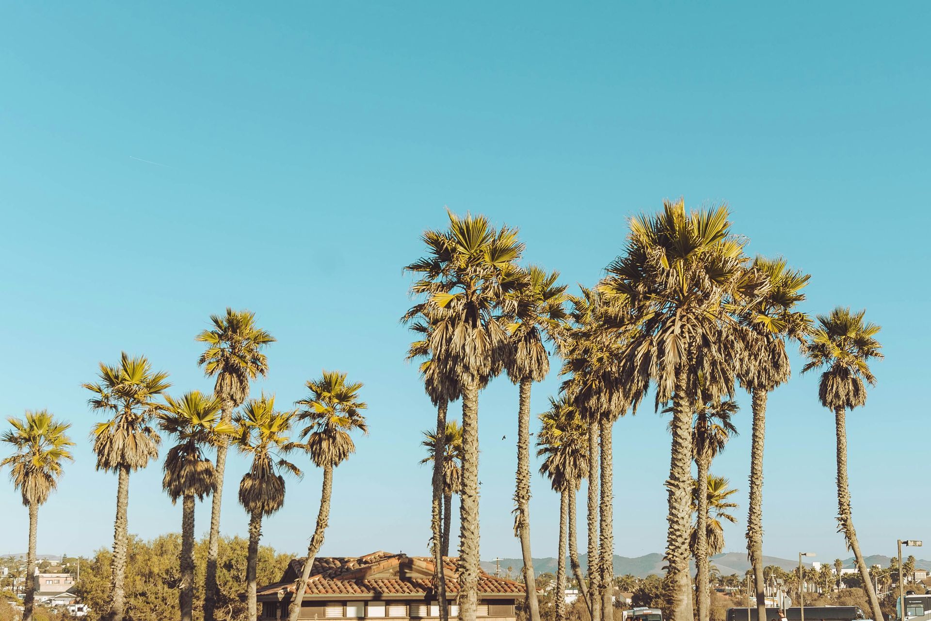 Black, horizontal slats of a pergola cast shadows onto a cream-colored frame.