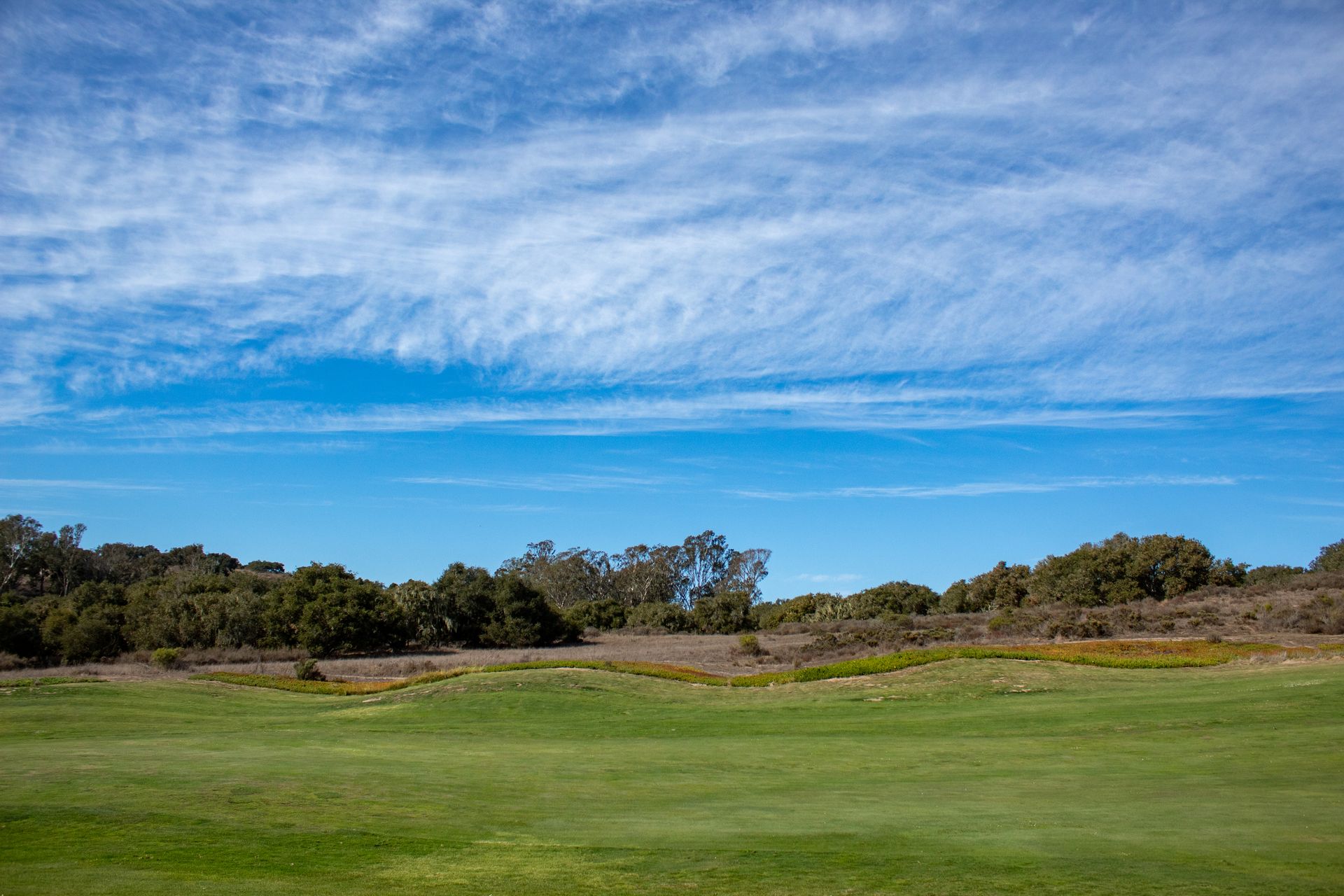 Bright blue sky with wispy clouds over a green field and a line of trees.