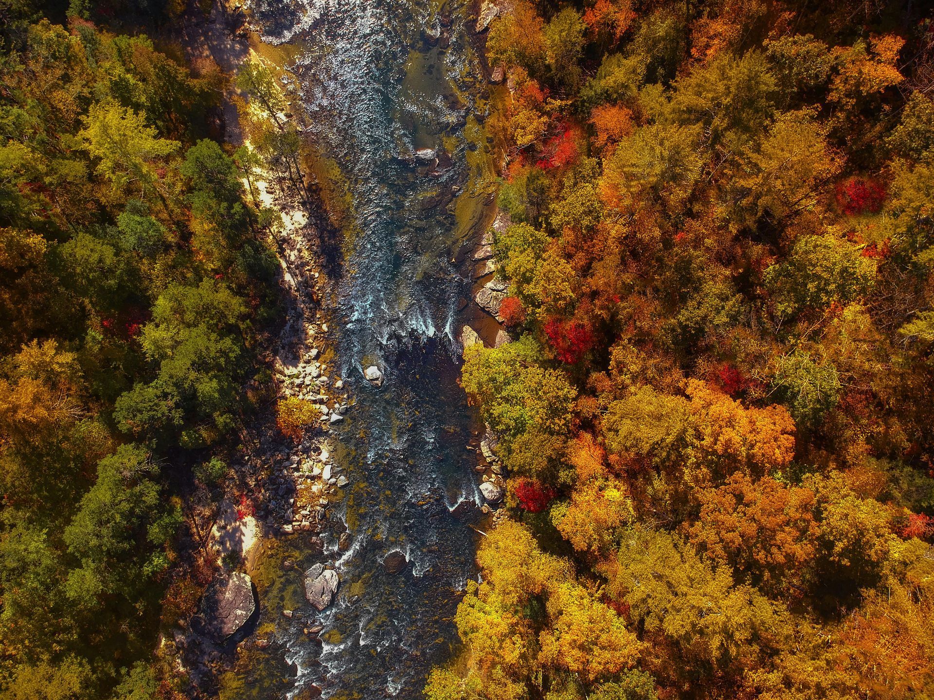 An aerial view of a river running through a lush green forest.