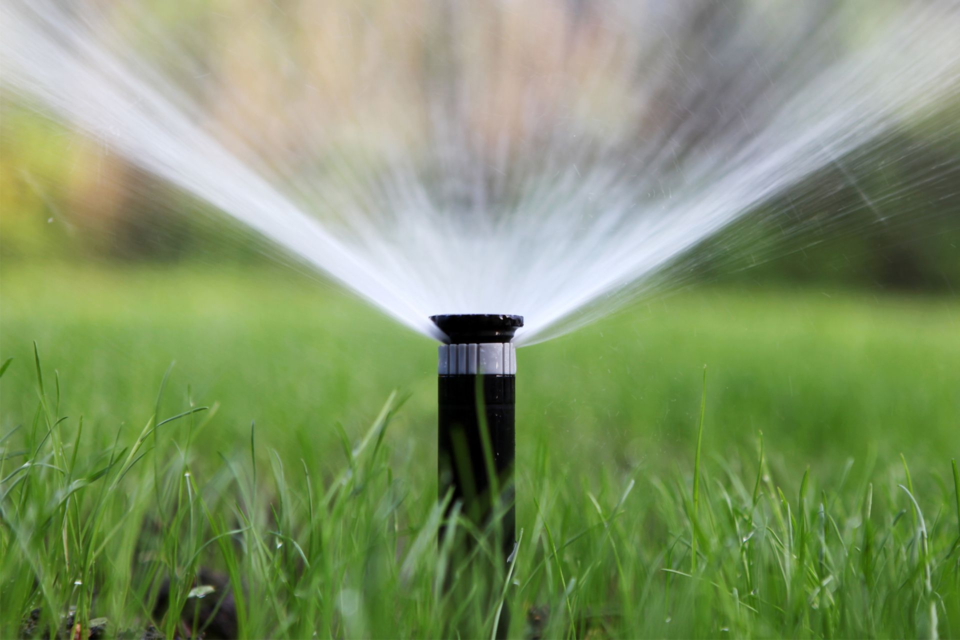 Sprinkler