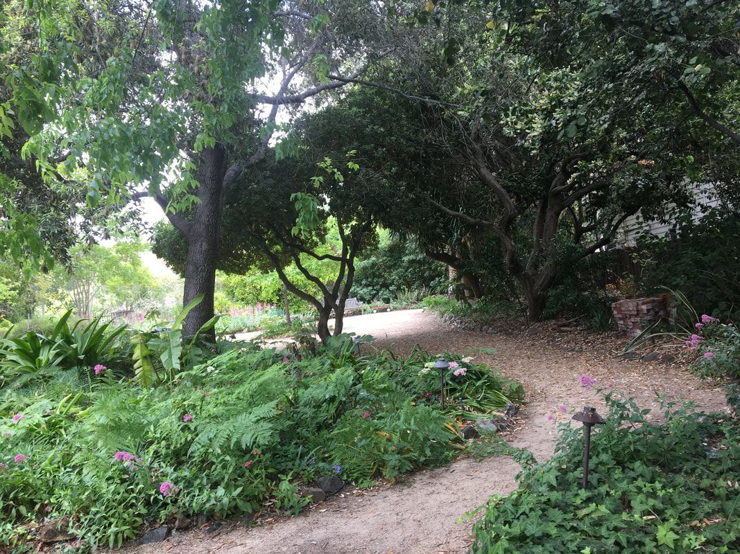 A dirt path in a garden surrounded by trees and bushes.