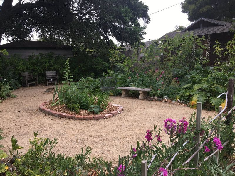 A garden with purple flowers and a bench in the middle