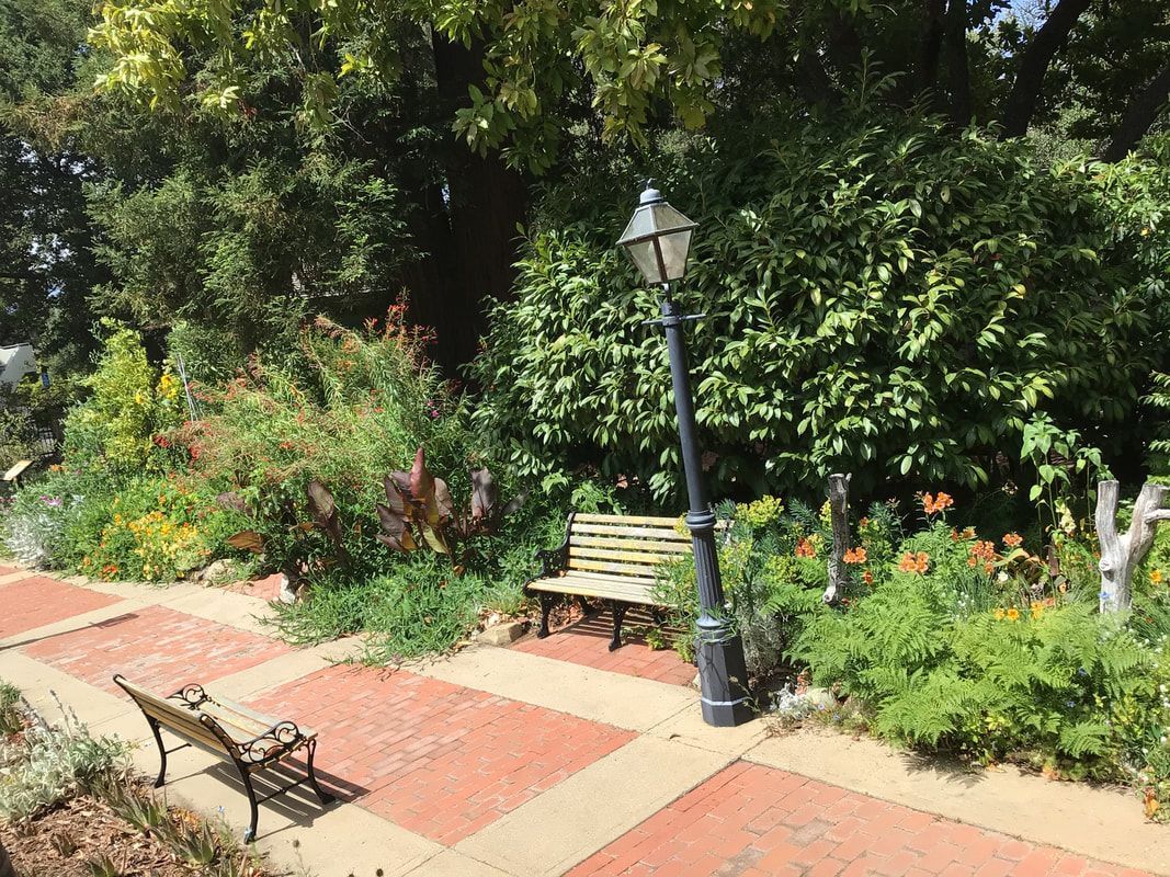 A park with a bench and a lamp post in the middle of it.