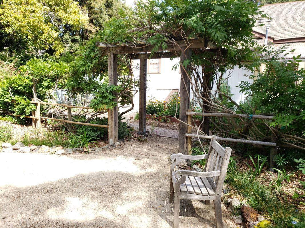 A wooden bench is sitting under a pergola in a garden.