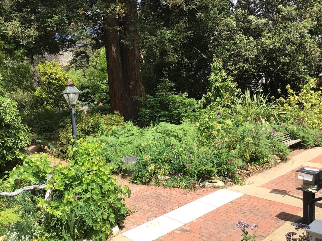 A brick walkway surrounded by trees and bushes in a park.