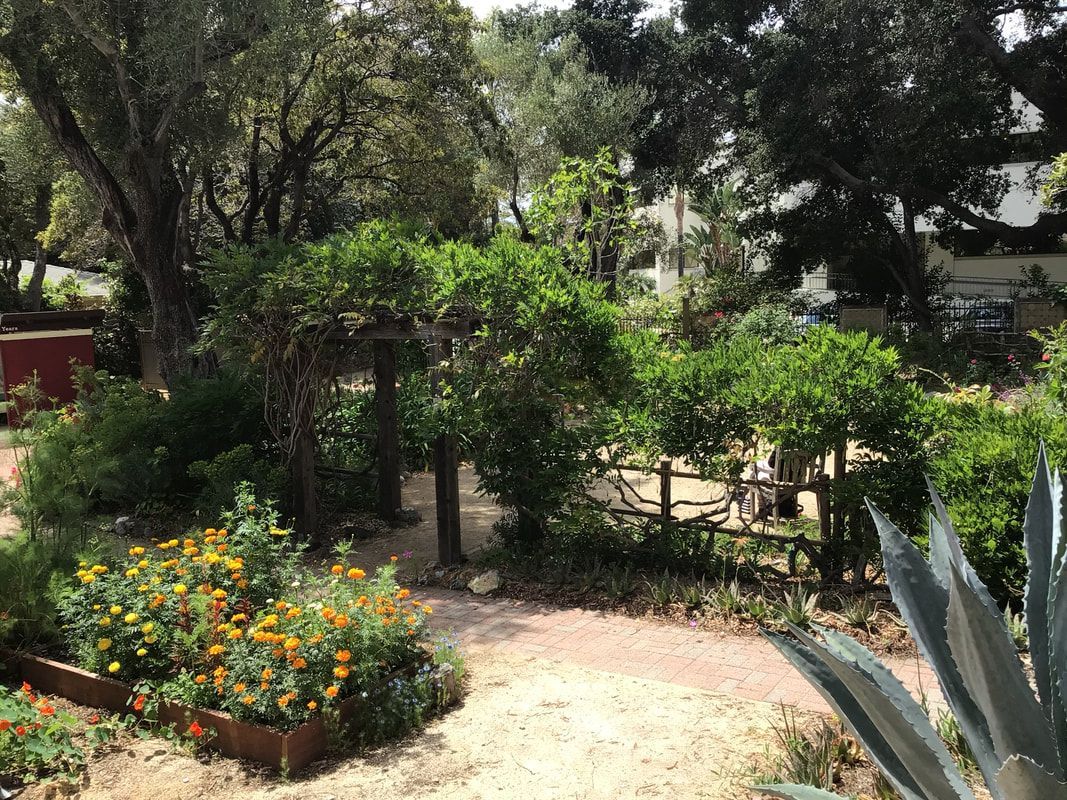 A garden filled with lots of flowers and trees.