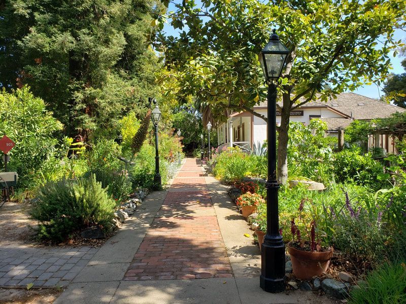 A brick walkway with a lamp post in the middle of a garden.