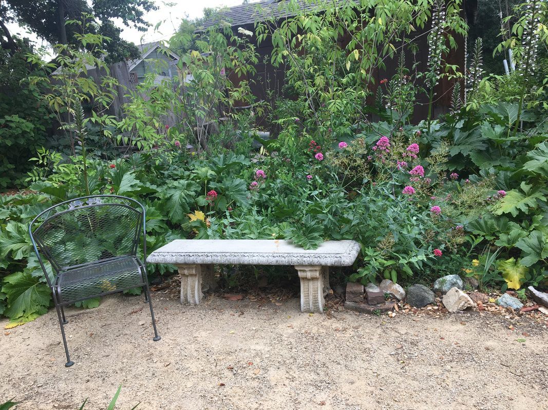 There is a bench in the middle of a garden surrounded by flowers.
