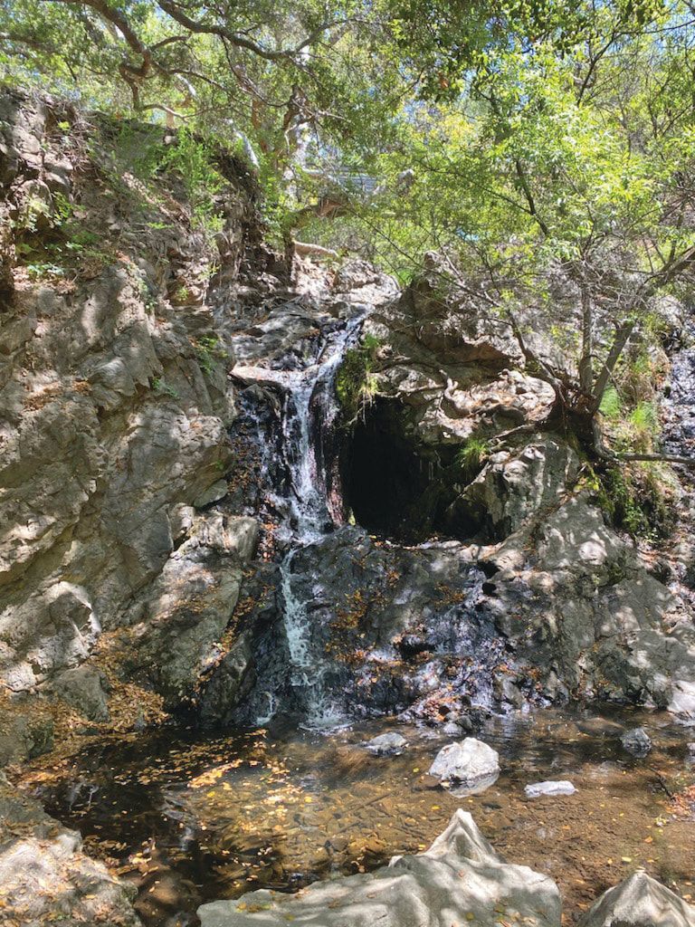 A small waterfall is surrounded by rocks and trees in the middle of a forest.