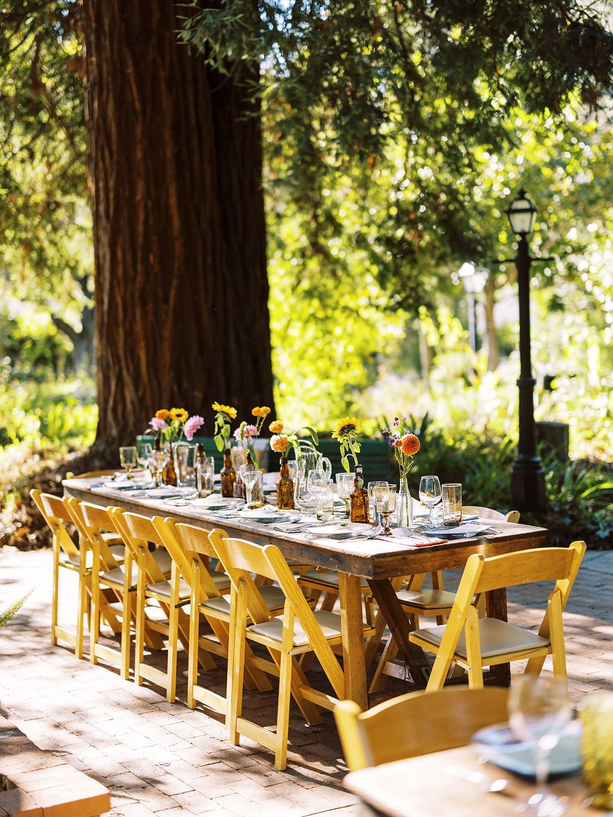 A long wooden table with yellow chairs is set for a party in the woods.