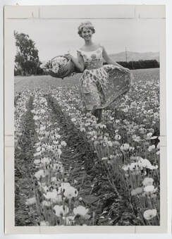 A woman is standing in a field of flowers holding a basket.