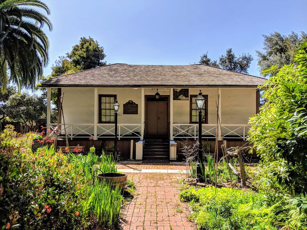 A small white house with a porch is surrounded by trees and bushes.