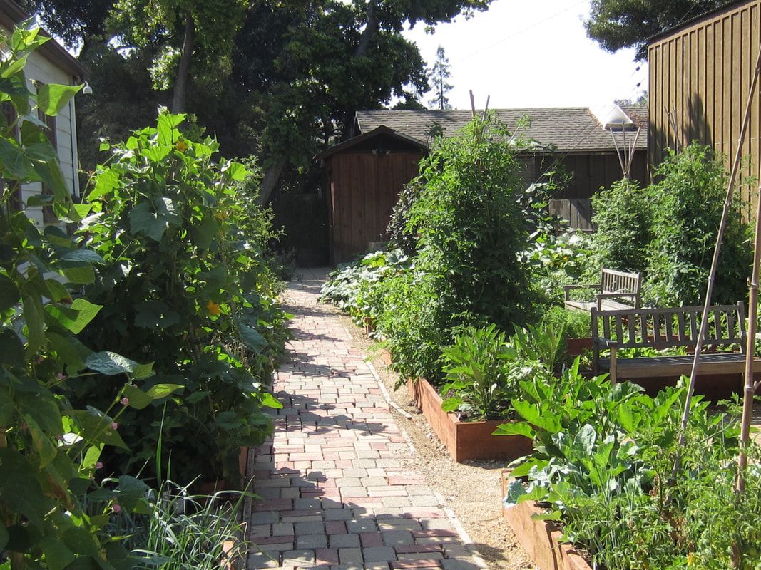 A brick walkway in a garden with lots of plants