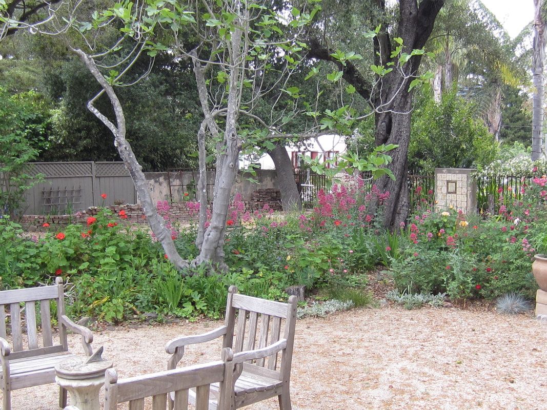 Two wooden chairs are sitting in a garden next to a tree.