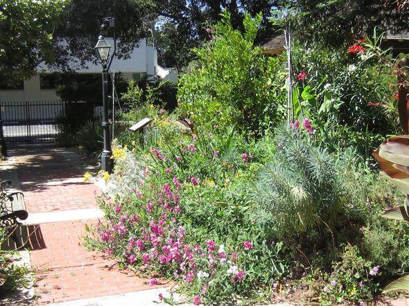 A garden filled with lots of flowers and trees