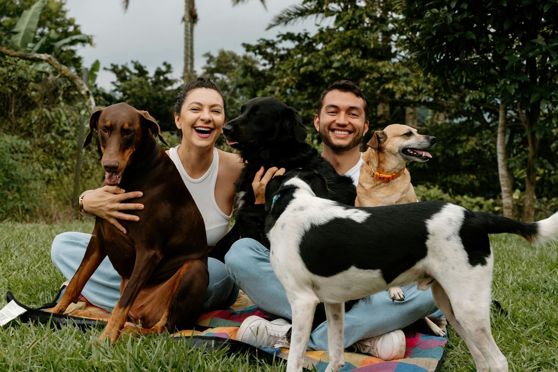 A man and a woman are sitting on a blanket with their dogs.