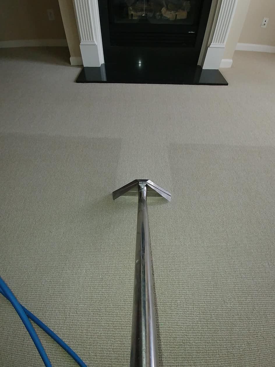 A person is cleaning a carpet with a vacuum cleaner.