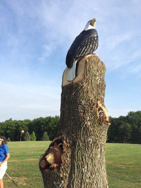 Eagle — Golf in Shelby, OH