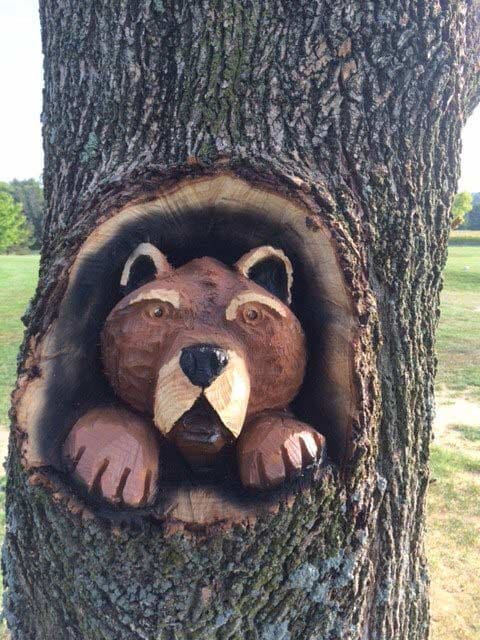 Tree — Golf in Shelby, OH