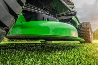 Lawn Mowing — Port Richey, FL — Green Thumb Unlimited