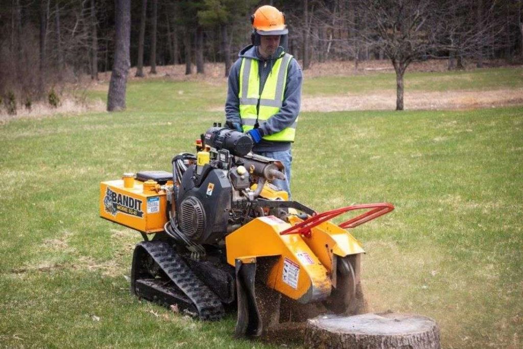 Stump grinding operation in progress on grassy area, worked on by Top'em & Drop'em in Lake Mary, FL.