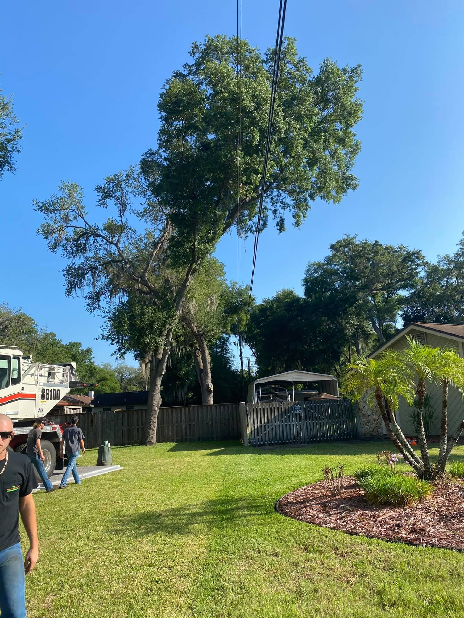 Tree Service and Stump Removal in Sanford, FL