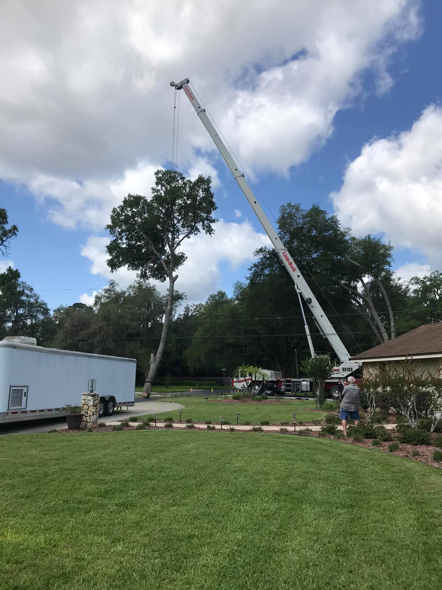 Tree Solutions and Land Management in Sanford, FL