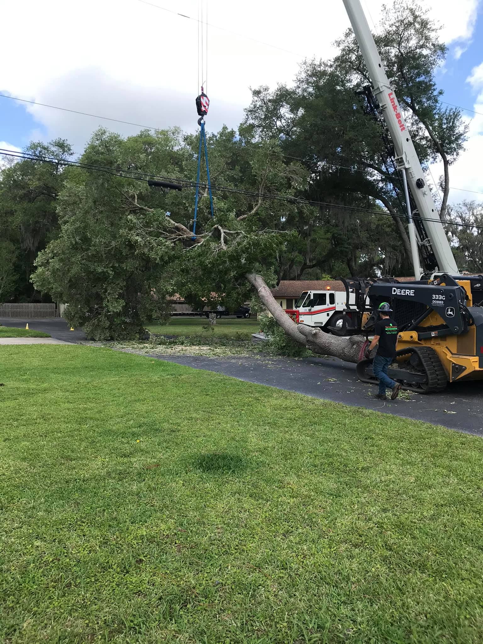 Tree Solutions and Land Management in Sanford, FL