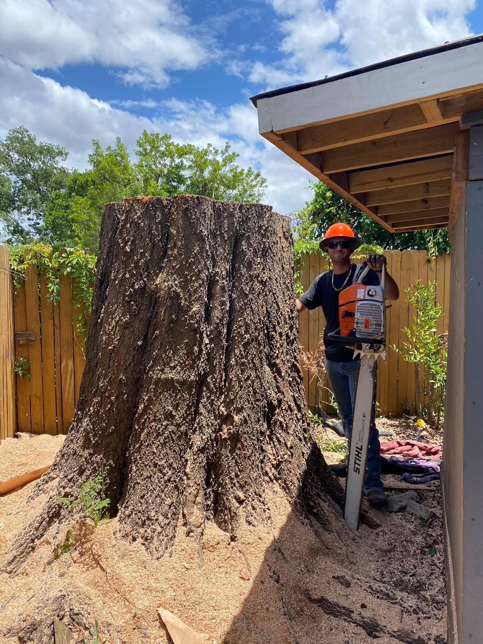 Tree Solutions and Land Management in Sanford, FL