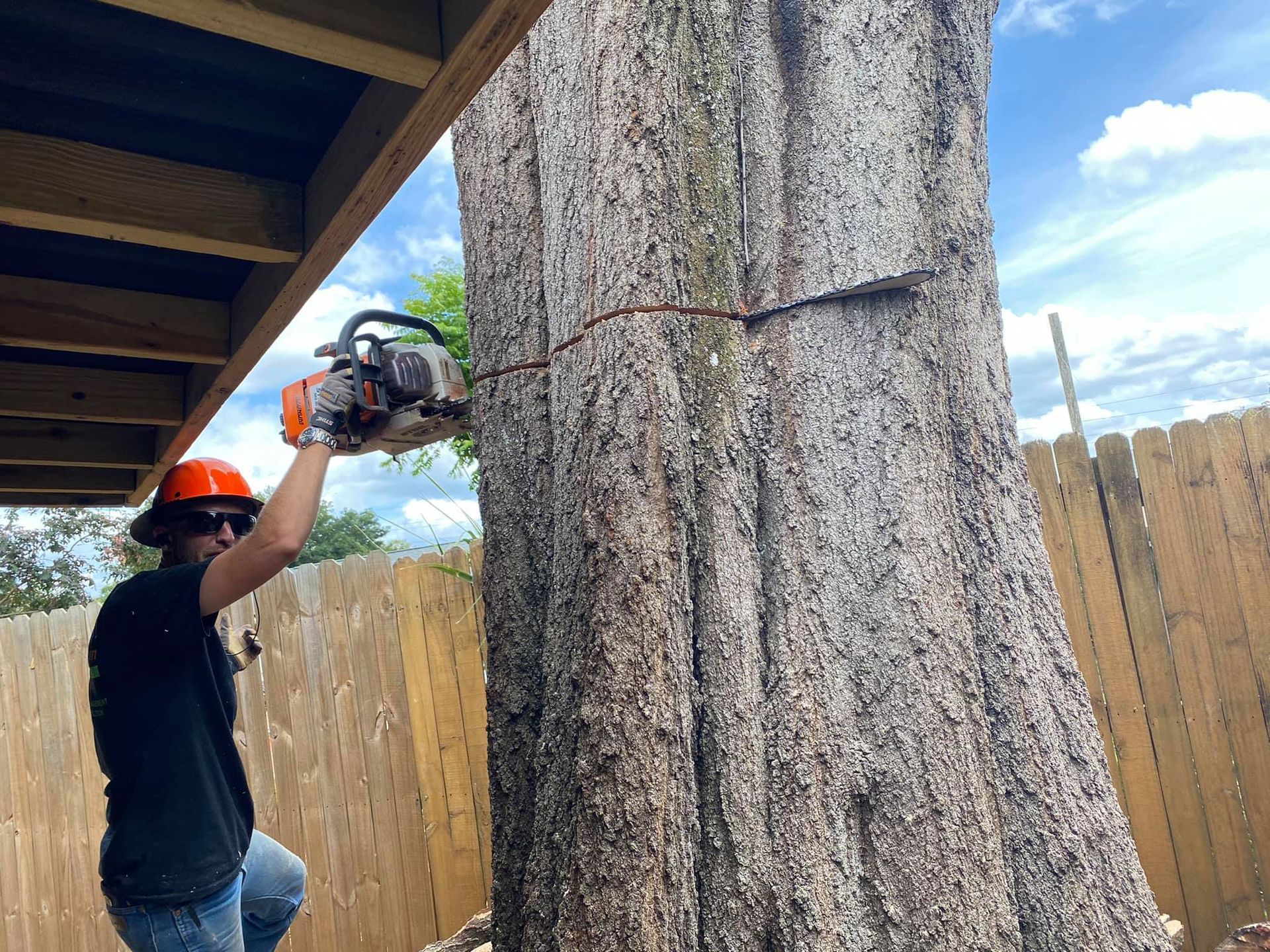 Tree Solutions and Land Management in Sanford, FL