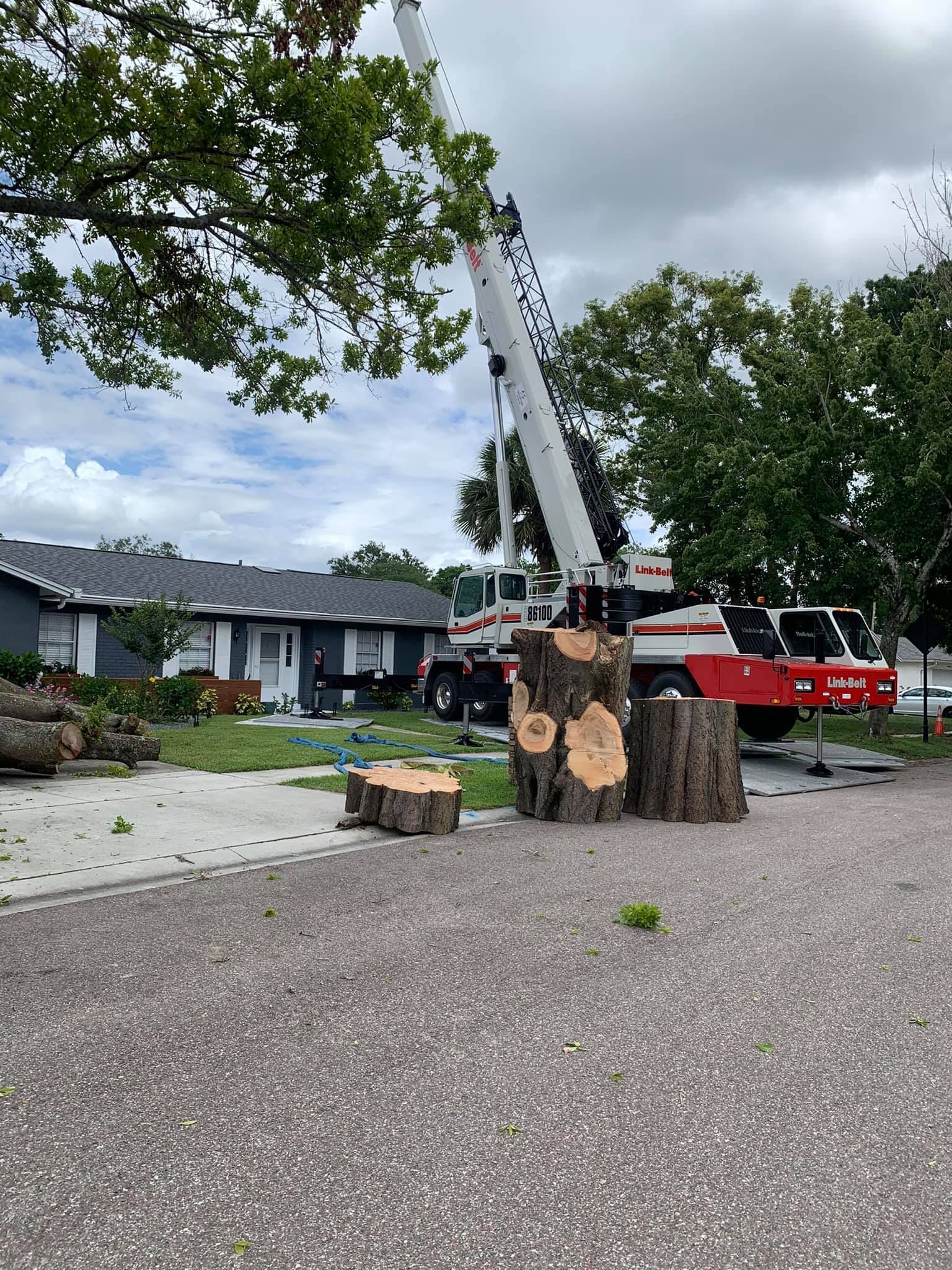 Tree Solutions and Land Management in Sanford, FL