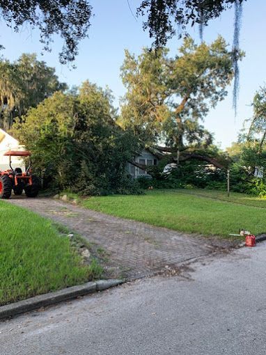A tractor is parked on the side of the road next to a fallen tree.