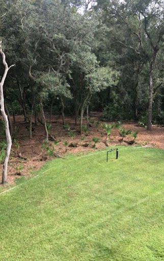 Tree Service and Stump Removal in Sanford, FL