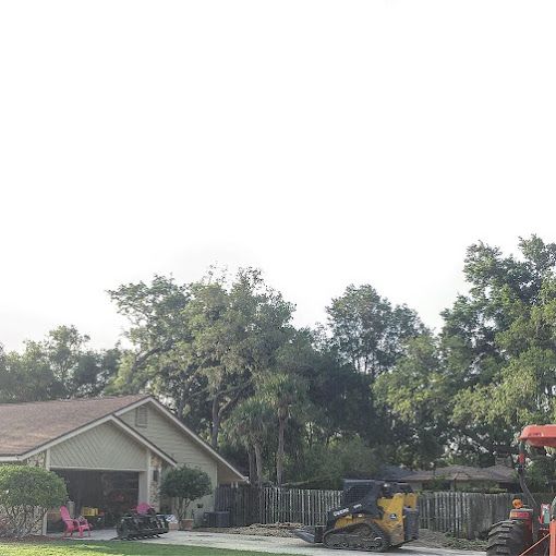 Tree Service and Stump Removal in Sanford, FL