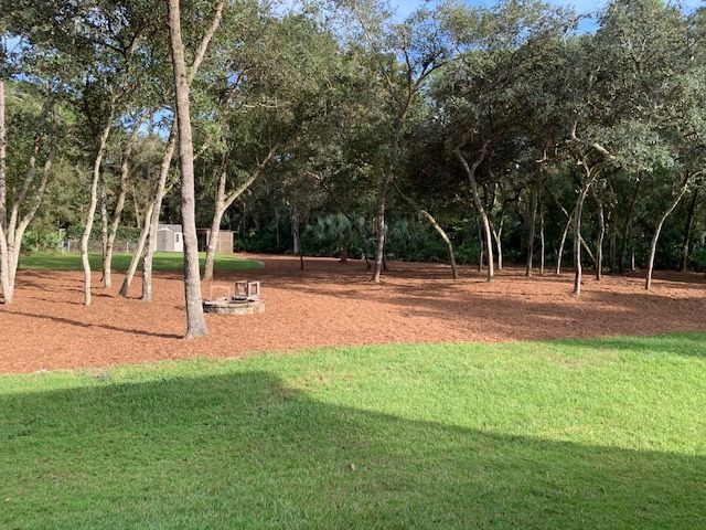 Tree Service and Stump Removal in Sanford, FL