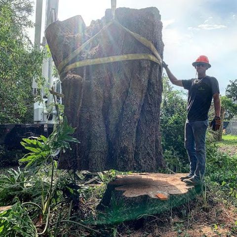 Tree Solutions and Land Management in Sanford, FL