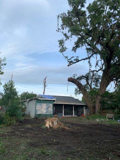 Tree Service and Stump Removal in Sanford, FL