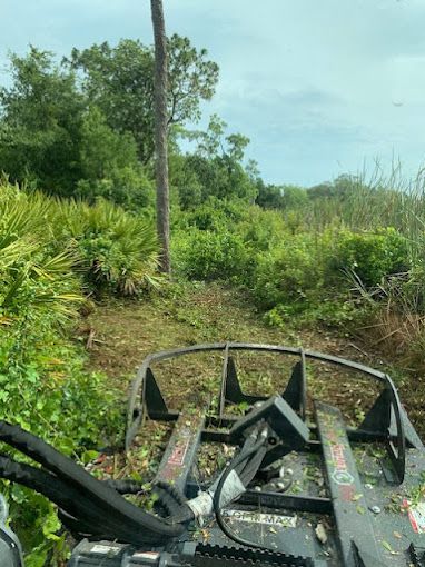 Tree Service and Stump Removal in Sanford, FL
