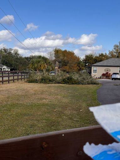 Tree Service and Stump Removal in Sanford, FL