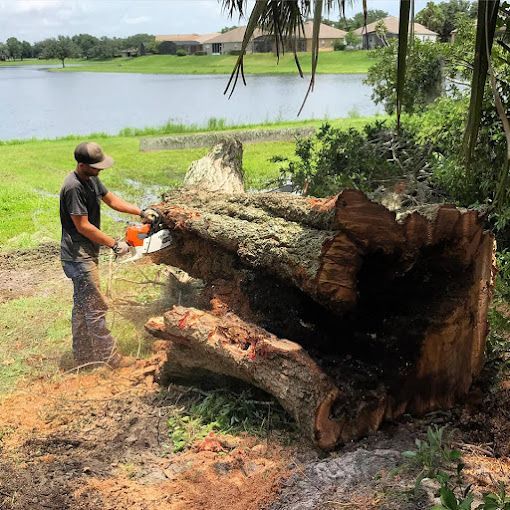 Tree Service and Stump Removal in Sanford, FL