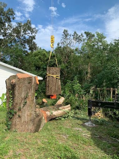 Tree Service and Stump Removal in Sanford, FL