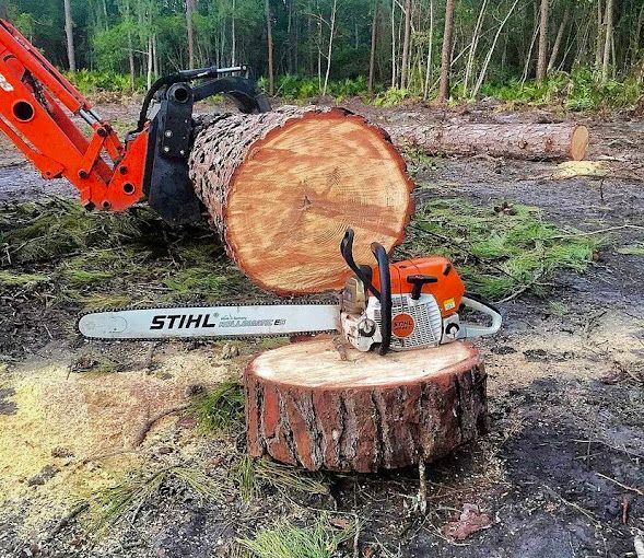A stihl chainsaw is sitting on top of a tree stump.